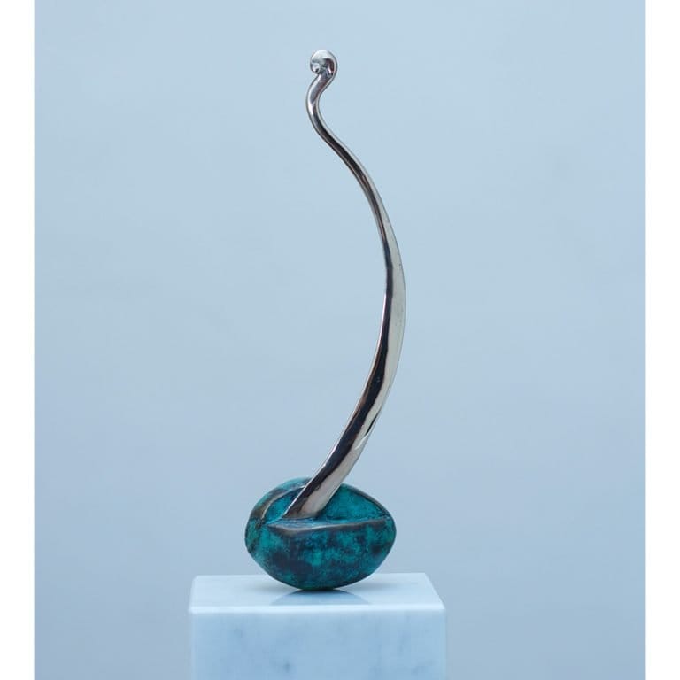Avocado Curl - 40x11cm [limited/10]