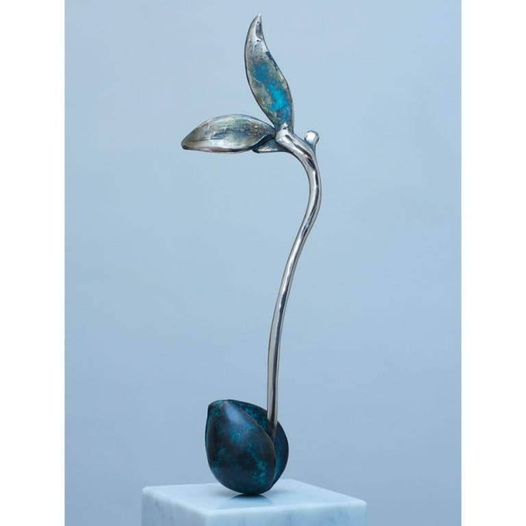 Avocado Split - 46x11cm [limited/10]