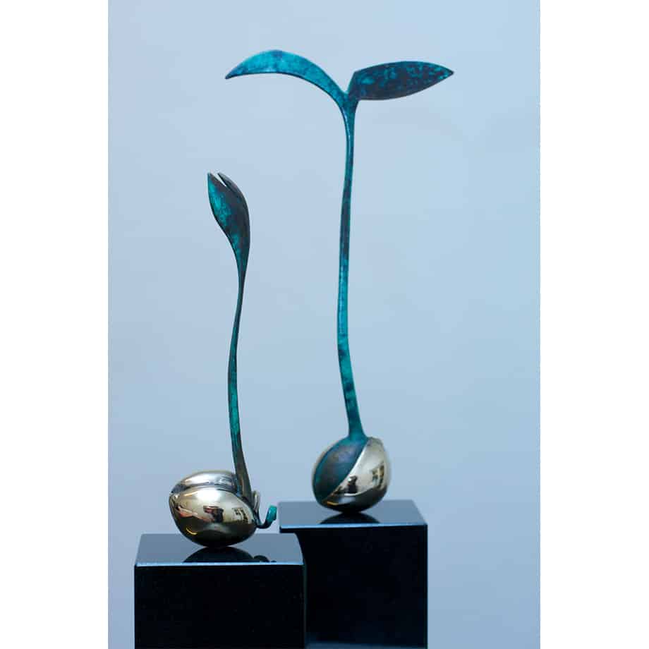 Avocado-Plant-40x11x10cm-(limited-to-10)-BRONZE-PATINA-polished-stainless-with-BLACK-GRANITE-[bronze,-table-top,stainless-steel]Zoe-Ellenberg-plant-interior-sculpture-australian-teal