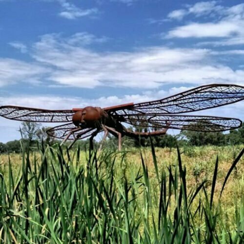 Giant-Dragonfly--wingspan-760cm---FABRICATED-STEEL-PIPE-[outdoor,landmark]-Tobias Benent,-australian-sculpture-large-oversize
