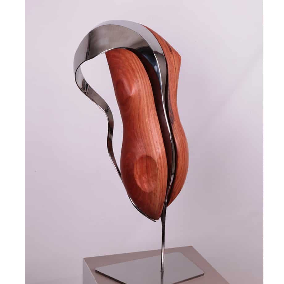Godiva-60x30cm--POLISHED-STAINLESS-&-REDGUM-{Table-top,-wood,-stainless-steel]-John-fitzmaurice-original-australian-interior-sculpture