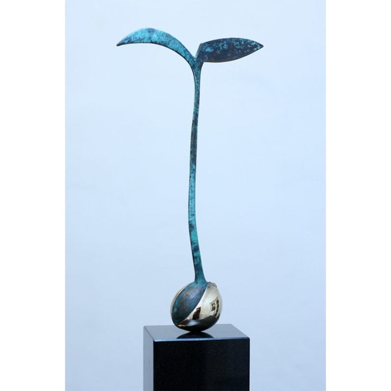 Avocado Plant - 49x17cm [limited/10]