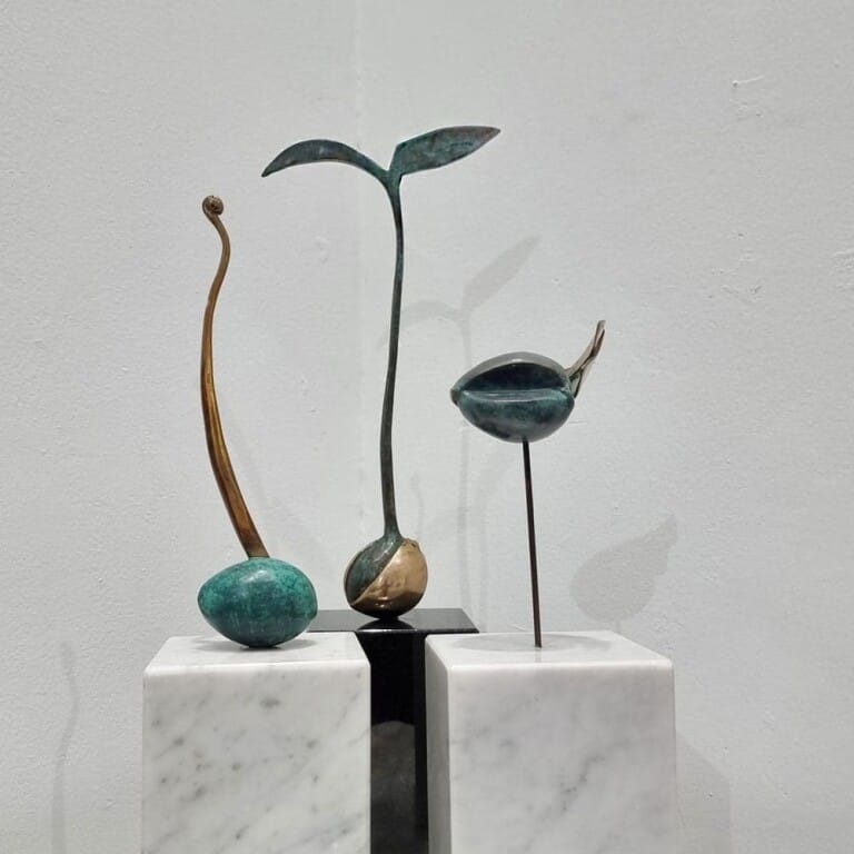 Avocado - Limited Collection 3