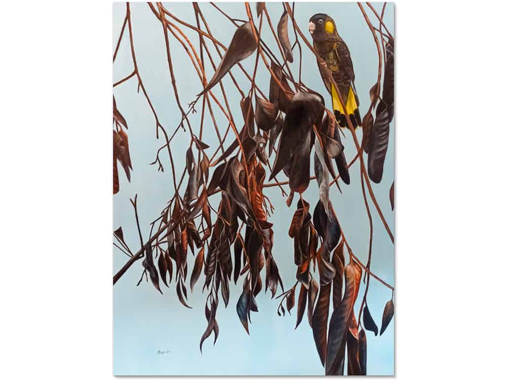 painting of australian gumtree orignal canvas art