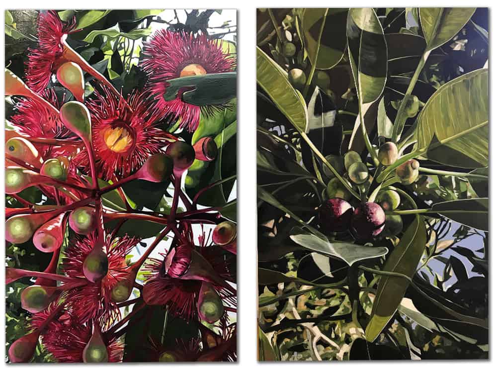 magnolias- native plant paintings