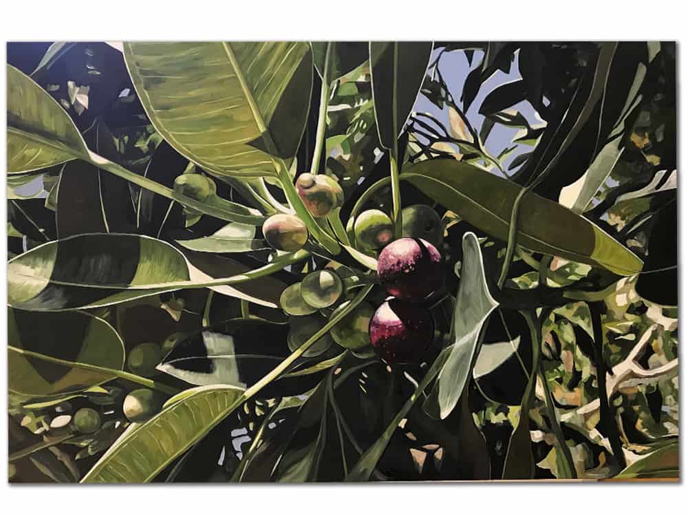 Marisha Matthews- AUSTRALIAN ARTIST- native plant paintings