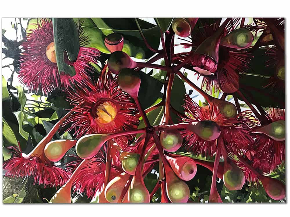 Marisha Matthews- AUSTRALIAN ARTIST- native plant paintings