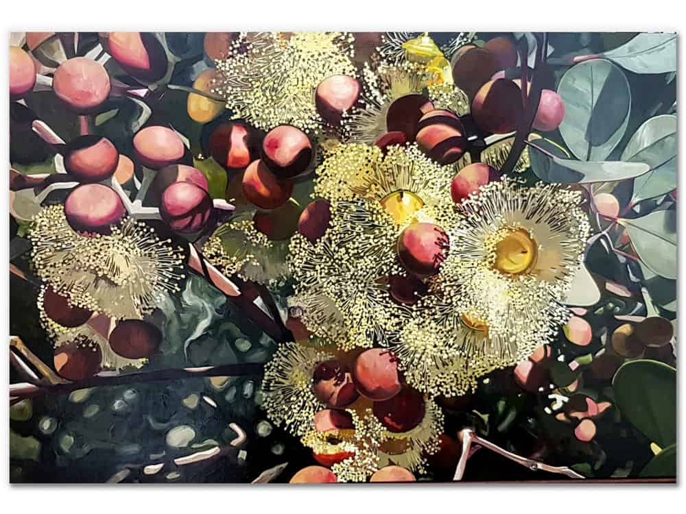 Silver flowring gum- 153x102cm