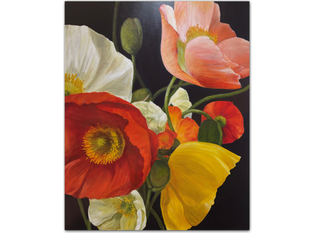 poppies artwork canvas floral