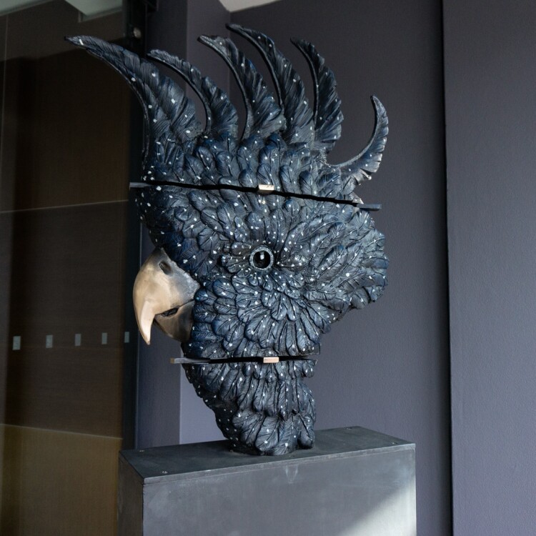 stephen-glassborow-bronze-sculpture-figurative cockatoo sculpture