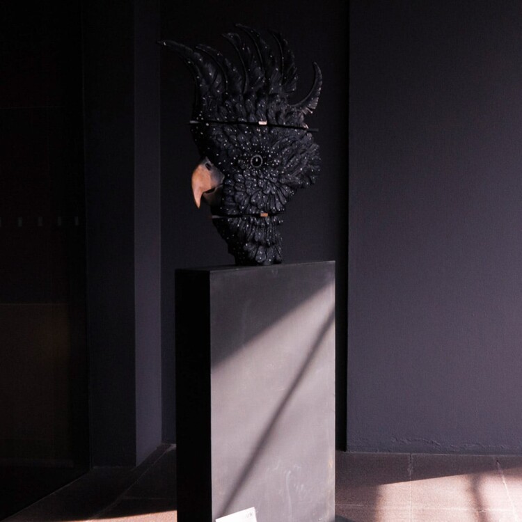 stephen-glassborow-bronze-sculpture-figurative cockatoo sculpture
