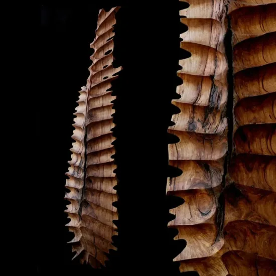 Timber sculpture by Lucas Guilbert — original art, SOHO Galleries Sydney
