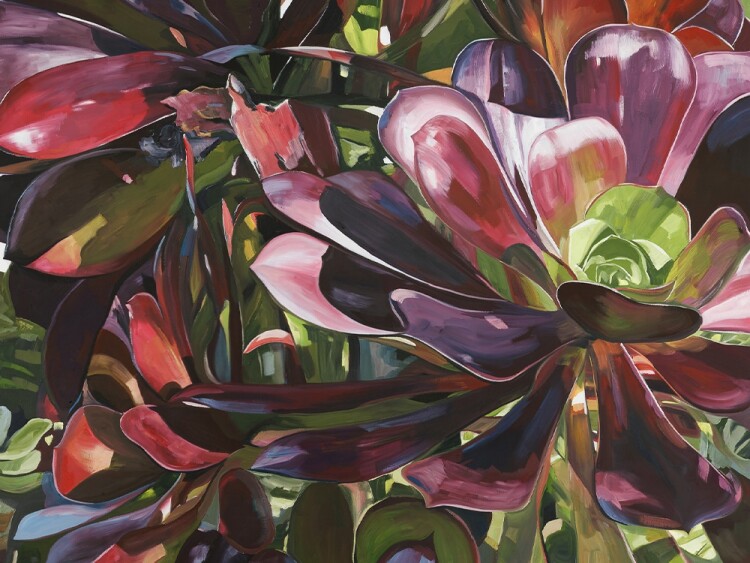 Marisha Matthews- AUSTRALIAN ARTIST- native plant paintings