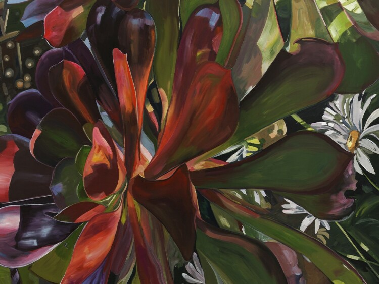 Marisha Matthews- AUSTRALIAN ARTIST- native plant paintings