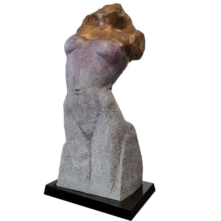 Torso - 66cm