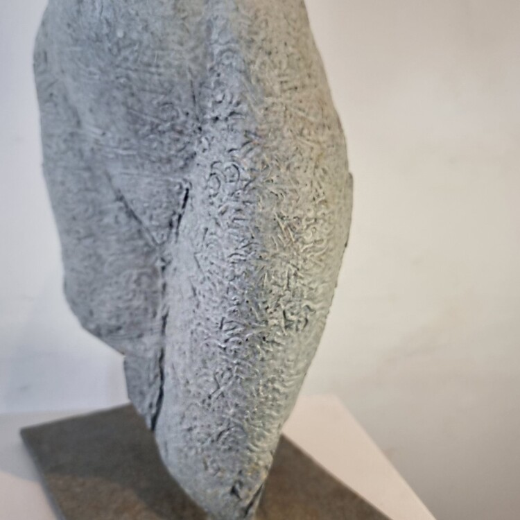 Torso - 66cm - Image 7