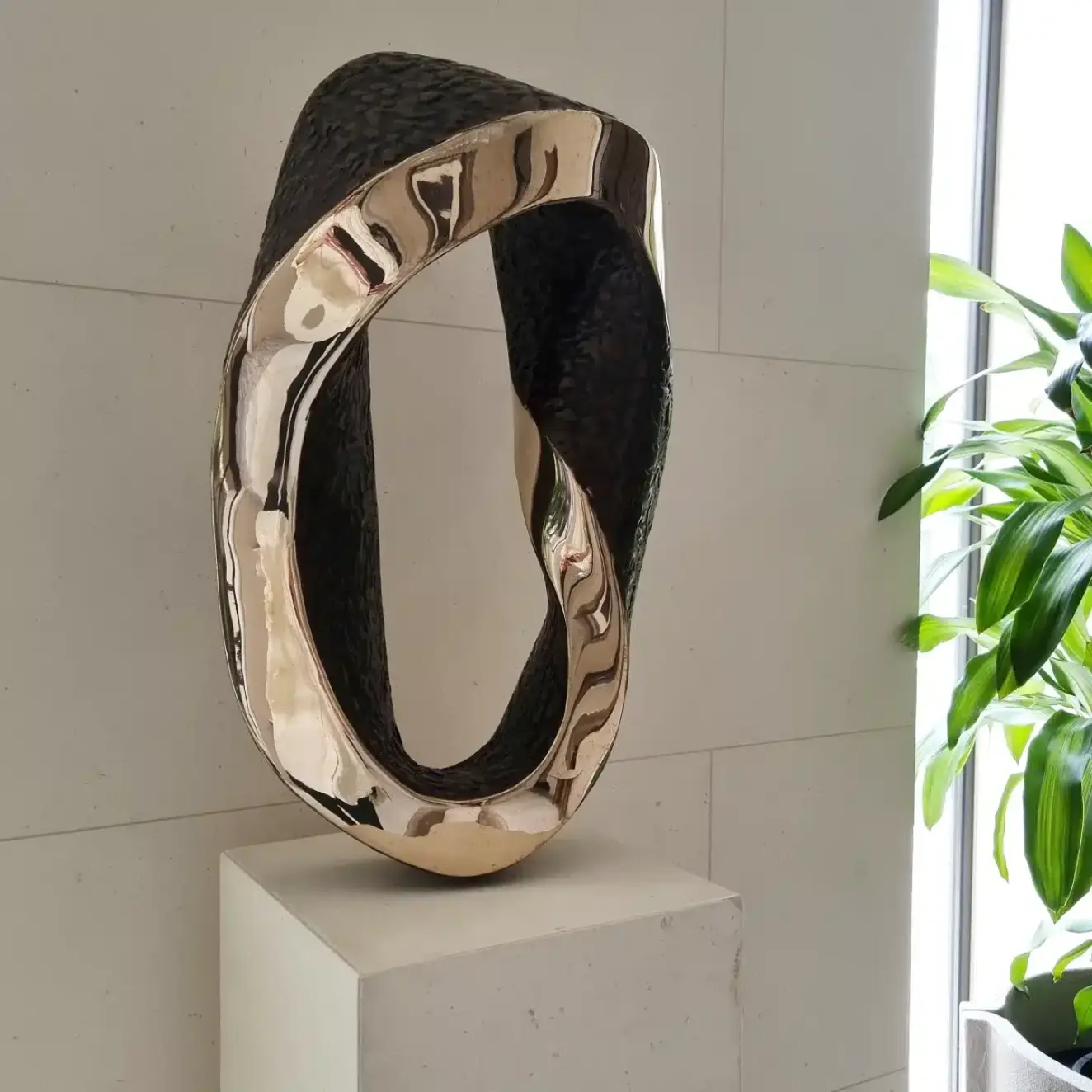 Endless Mobius Curve