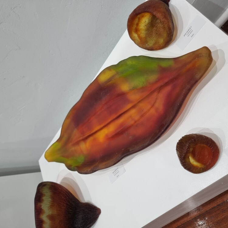 seed platter