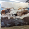 conchita carambano large canvas art