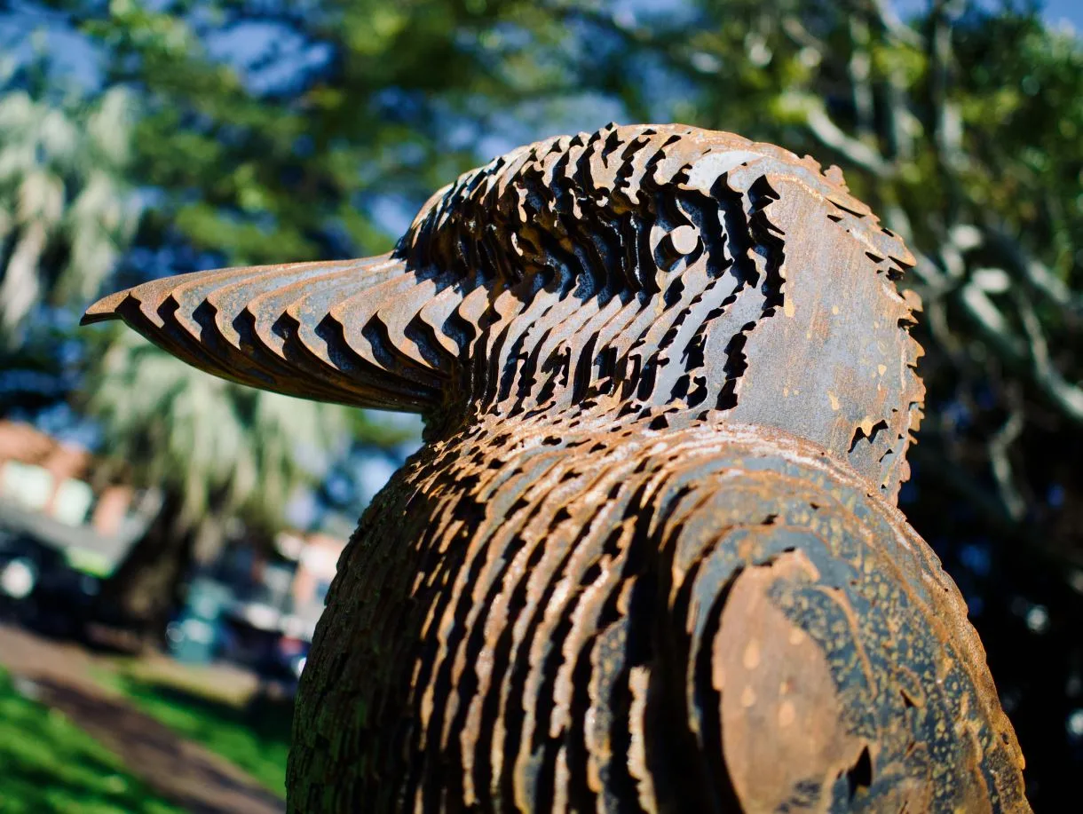 Kookaburra sculpture, garden sculpture