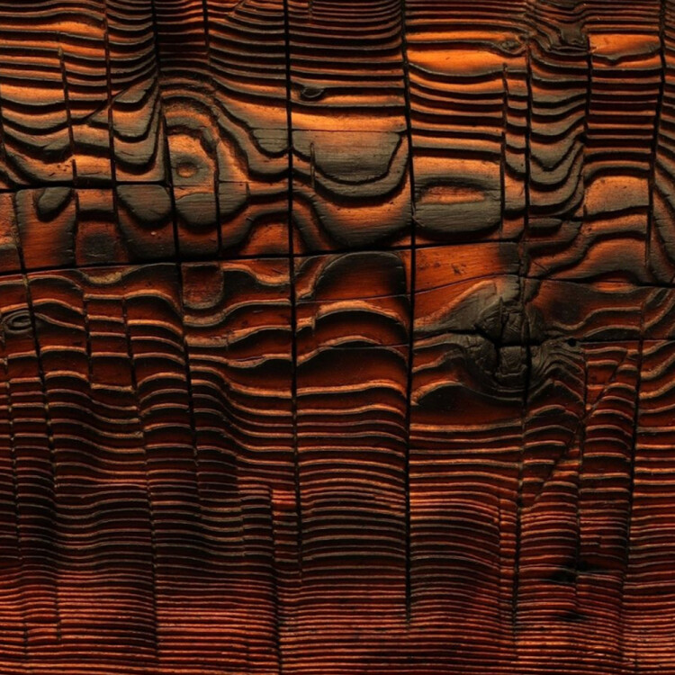 Australian timber sculpture