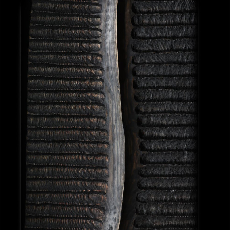Australian timber sculpture