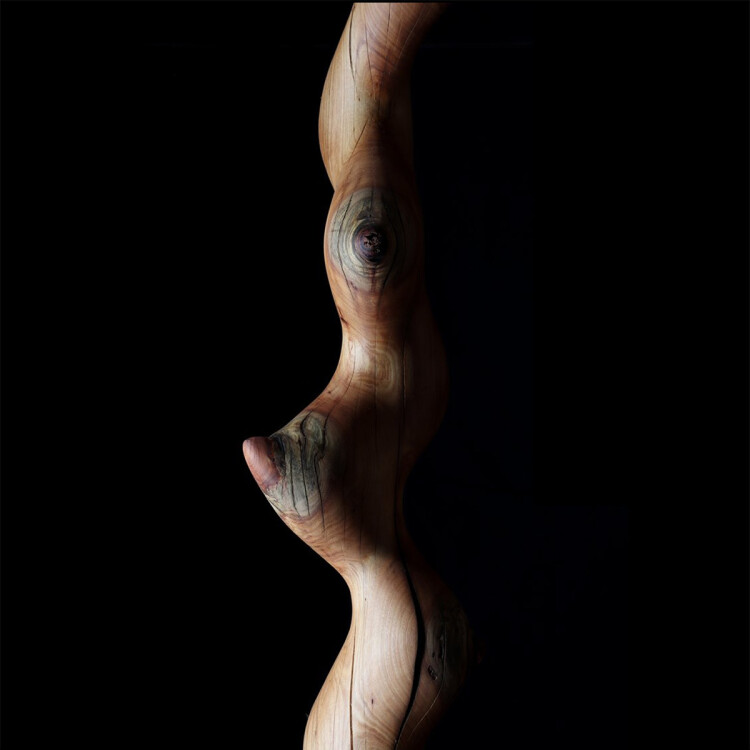 timber sculpture