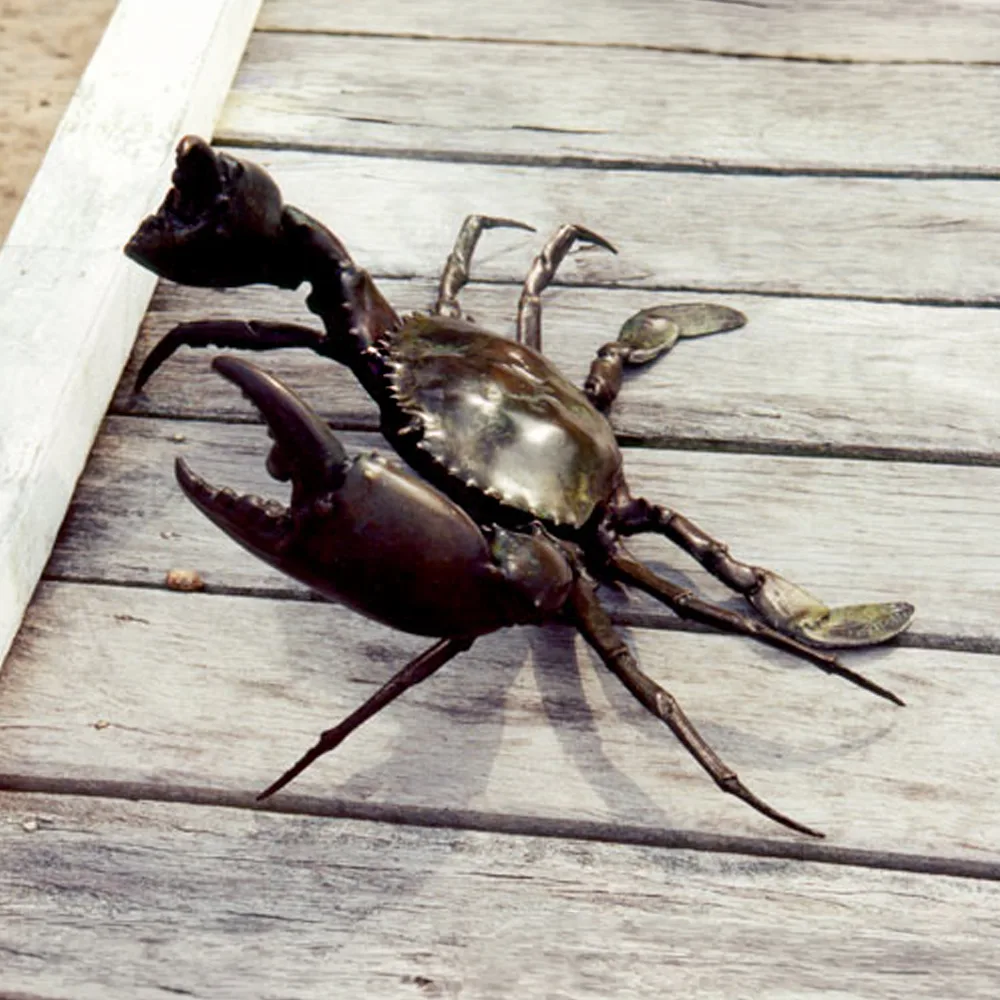 Mud Crab by David Mackay Harrison – bronze sculpture, 22x58cm (view 3) – SOHO Galleries Sydney