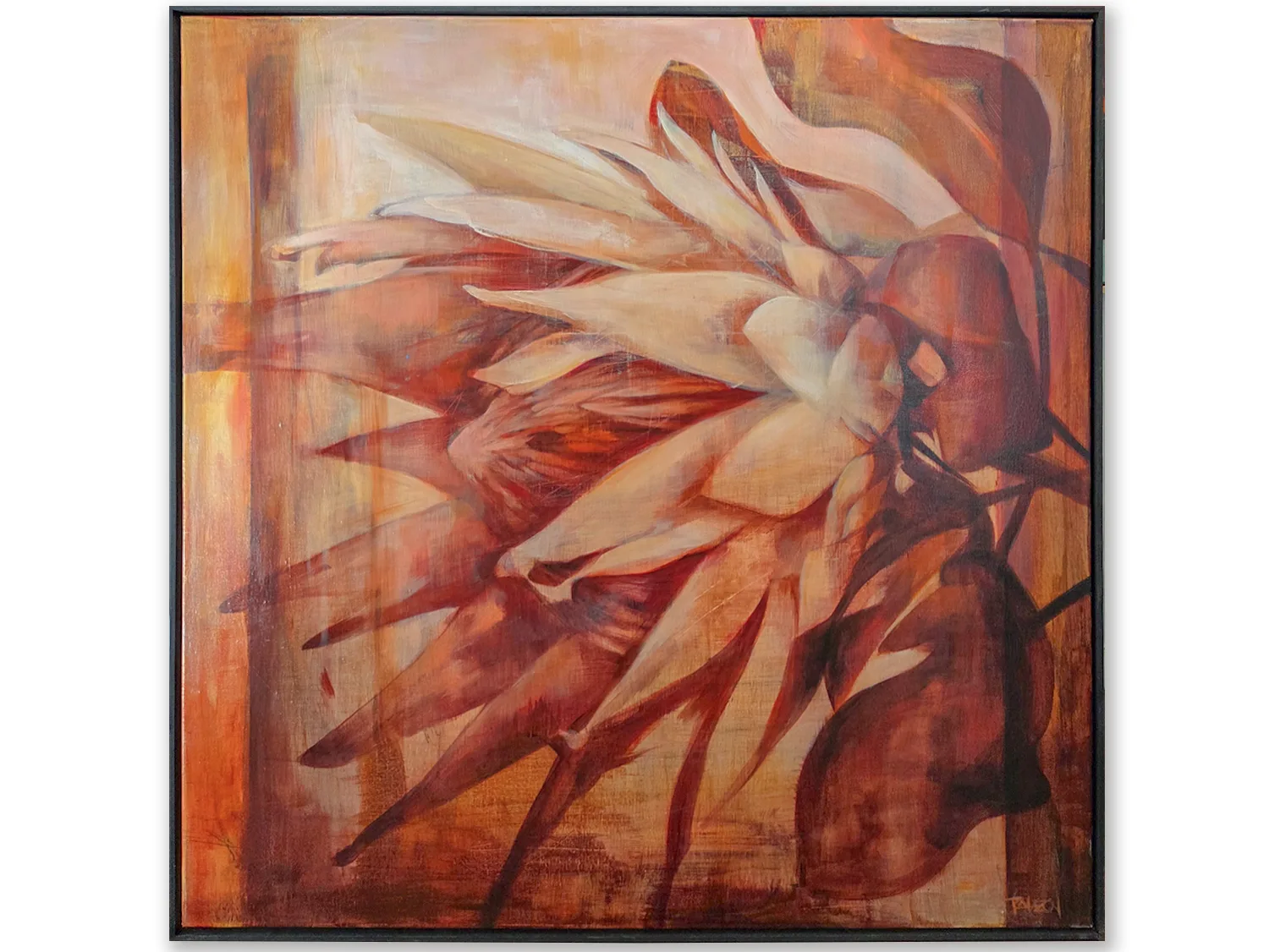 Protea - 125x125cm floral artwork - australian art, australian native flowers painting